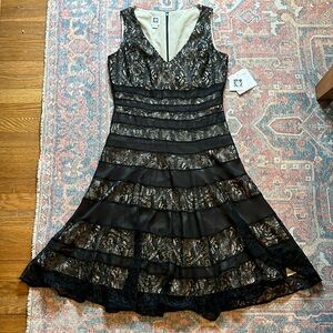 NWT Anne Klein Sleeveless V-neck Lace Fit & Flare Knee Length Dress- minor flaws